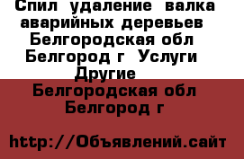 Спил, удаление, валка, аварийных деревьев - Белгородская обл., Белгород г. Услуги » Другие   . Белгородская обл.,Белгород г.